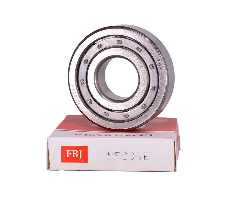 NF305 E  Hengergörgős csapágy 25x62x17 mm