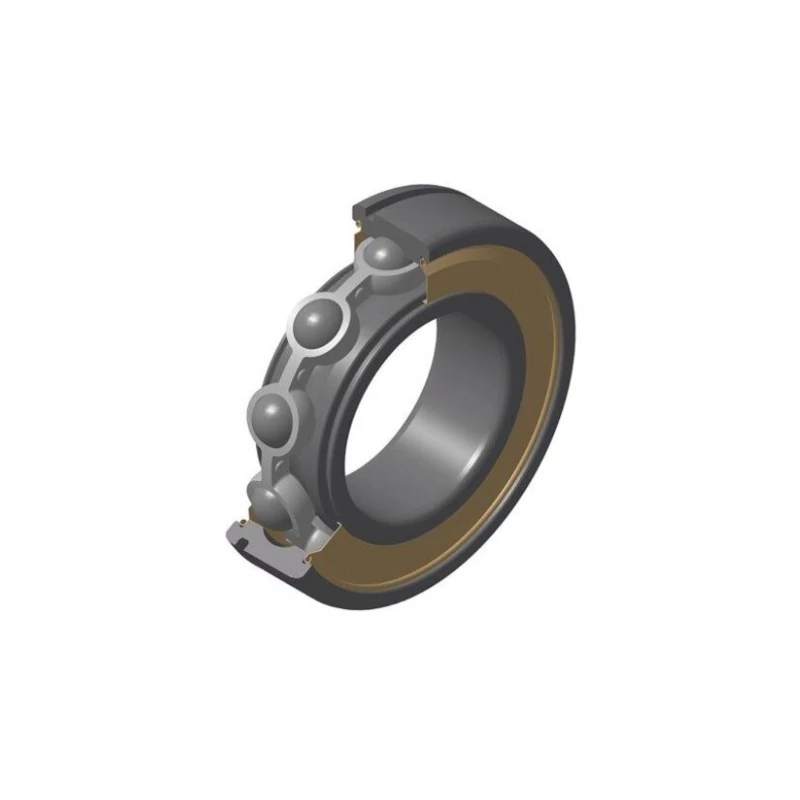 6006NRZZ 30X55X13mm