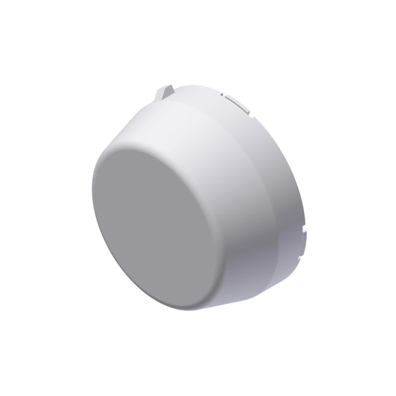 CF20 mm